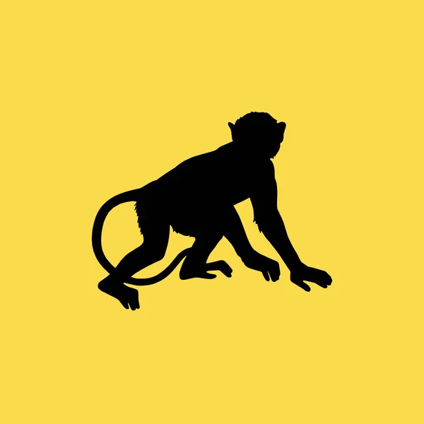 Simbolo segno vettore isolato icona scimmia illustrazione — Vettoriale Stock