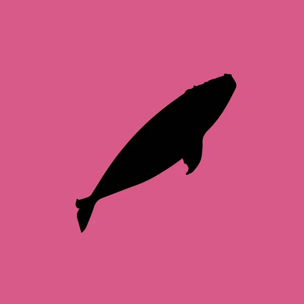 Иллюстрация иконки правого кита — стоковый вектор
