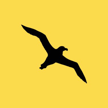 Albatros kuş simgesi illüstrasyon izole vektör işareti simgesi