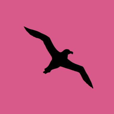 Albatros kuş simgesi illüstrasyon izole vektör işareti simgesi