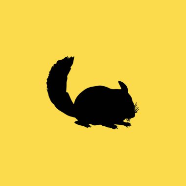 Chinchilla simgesi illüstrasyon izole vektör işareti simgesi