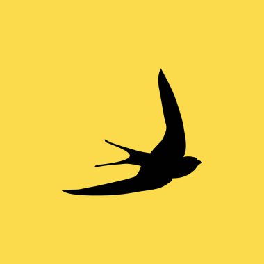hızlı kuş simgesi illüstrasyon izole vektör işareti simgesi