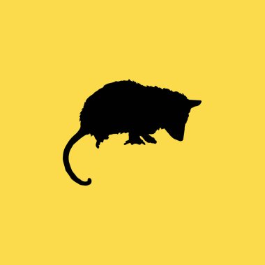 keseli sıçan simgesi illüstrasyon izole vektör işareti simgesi