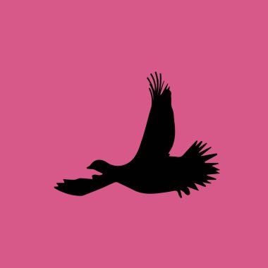 Kuş simgesi illüstrasyon izole vektör işareti simgesi