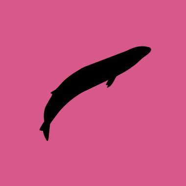 gri balina simgesi illüstrasyon izole vektör işareti simgesi