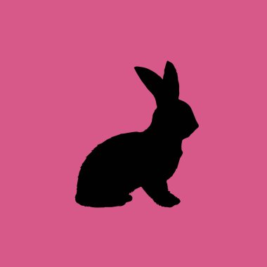 Tavşan simgesi illüstrasyon izole vektör işareti simgesi