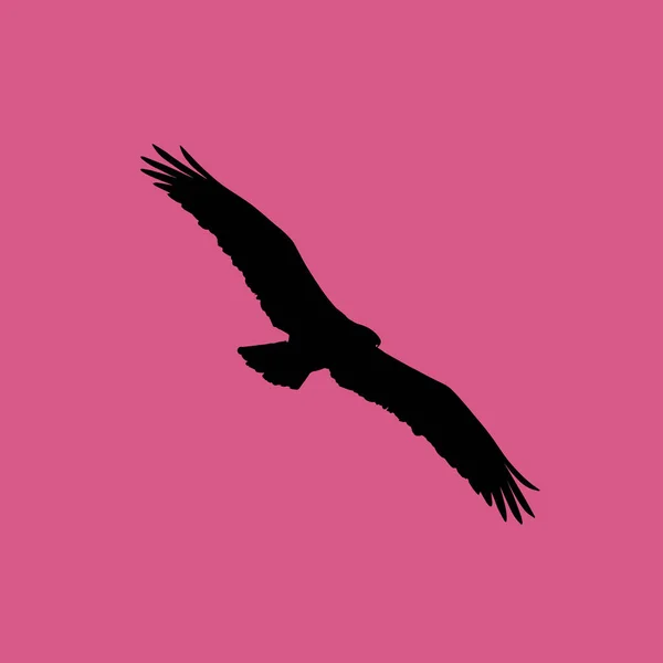 Osprey ptaka ikona ilustracja na białym tle wektor symbol znak — Wektor stockowy