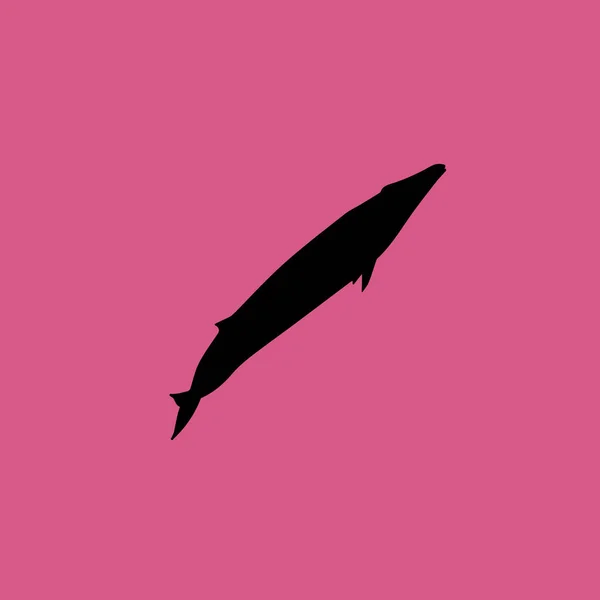 Icono de ballena azul ilustración símbolo de signo de vector aislado — Vector de stock