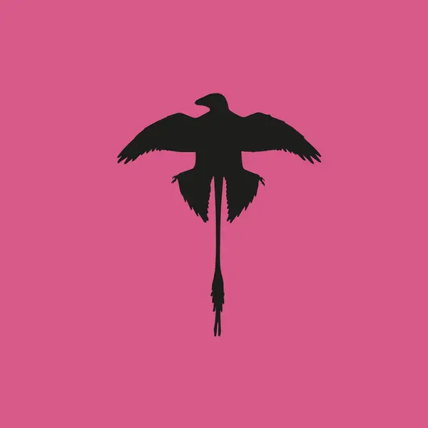 Raptor pájaro icono ilustración símbolo de signo de vector aislado — Archivo Imágenes Vectoriales