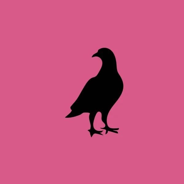 Simge illüstrasyon izole vektör işareti simgesi güvercin — Stok Vektör