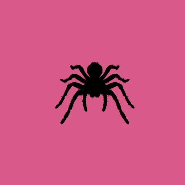 Ícone de aranha ilustração símbolo de sinal de vetor isolado —  Vetores de Stock