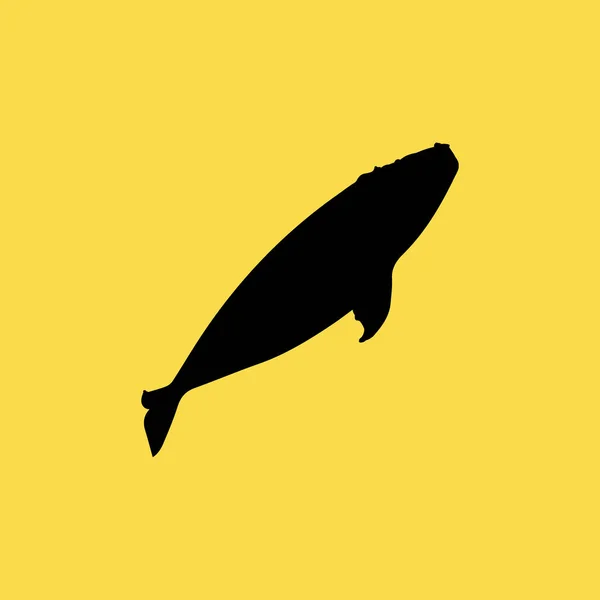 露脊鲸图标图孤立的矢量标志符号 — 图库矢量图片