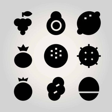 Meyve vektör Icon set. Kuru erik, lychee, avokado ve dut
