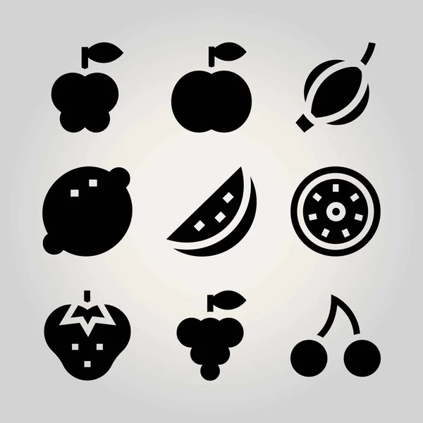 Conjunto de iconos de vectores de frutas. groseberry, cereza, sandía y kiwi — Vector de stock