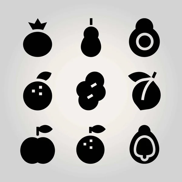 Conjunto de iconos de vectores de frutas. albaricoque, ciruela, aguacate y membrillo — Vector de stock