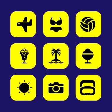 Yaz aylarında vektör Icon set. Voleybol, fotoğraf makinesi, uçak ve bikini