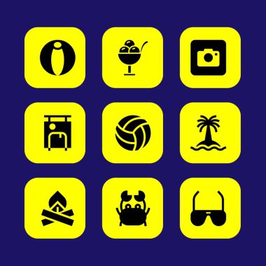 Yaz aylarında vektör Icon set. Yengeç, bavul, voleybol ve dondurma