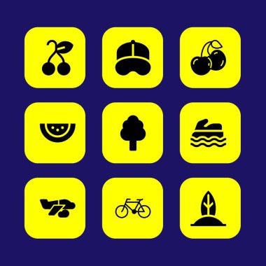 Yaz aylarında vektör Icon set. Deniz scooter, kiraz, vişne ve uçak