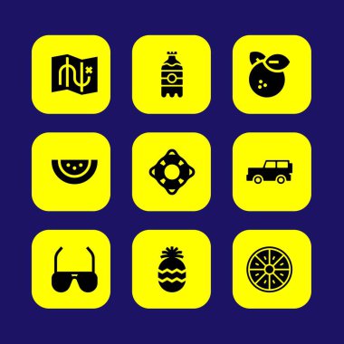 Yaz aylarında vektör Icon set. karpuz, ananas, içki ve cankurtaran