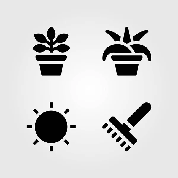 Набор векторных значков домашних растений. хлорофитум, фикус, солнце и рябина — стоковый вектор
