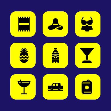 Yaz aylarında vektör Icon set. plaj havlusu, içki, ananas ve havlu