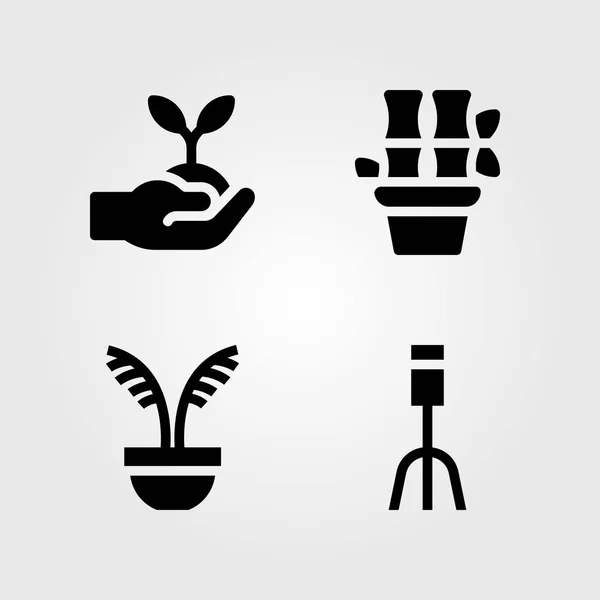Набор векторных значков домашних растений. Сажаем саженцы, сажаем вилы и растения — стоковый вектор