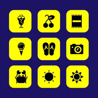 Yaz aylarında vektör Icon set. flip flop, dondurma, güneş ve yengeç
