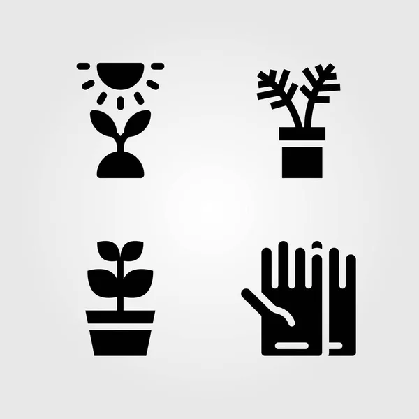 Haus Pflanzen Vektor Icon Set Sonne Pflanze Und Handschuhe — Stockvektor