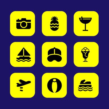 Yaz aylarında vektör Icon set. Uçak, beyzbol şapkası, ananas ve plaj topu