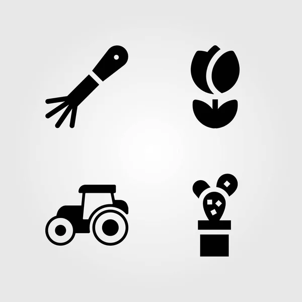 Zahradní ikony nastavit. Vektorové ilustrace hrábě, Tulipán, traktoru a kaktus — Stockový vektor