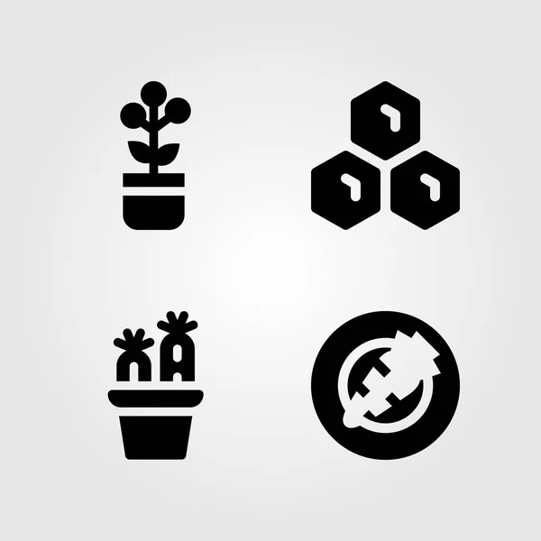 Gartensymbole gesetzt. Vektorillustration Möhre, Wabe, Kaktus und Pflanze — Stockvektor