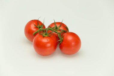 Taze domates / beyaz arka plan üzerinde izole