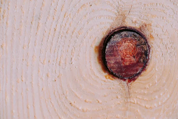 Madera con nudo / textura — Foto de Stock