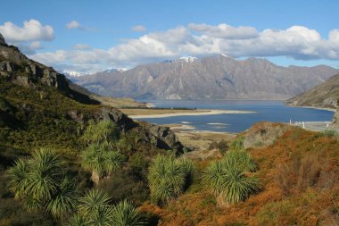 Göl Wanaka / peyzaj