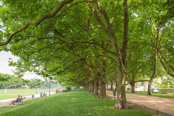 Szczecin / Public park w mieście — Zdjęcie stockowe