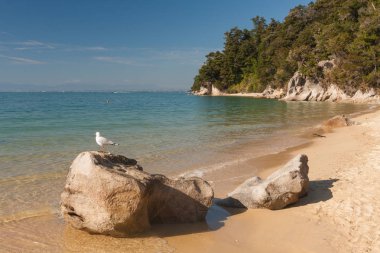 Doğal peyzaj / Abel Tasman Milli Parkı / Deniz Manzaralı