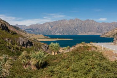 Doğa manzara / doğal göl Wanaka ve dağ manzaralı