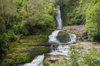 Orman şelale Mclean Falls Catlins Yeni Zelanda