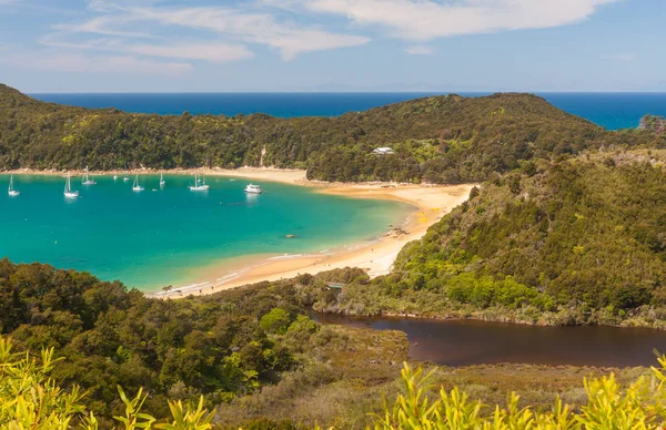 Panorama panoramico / Parco nazionale Abel Tasman / Vista mare — Foto Stock