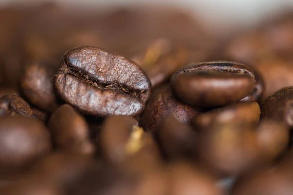 Granos de café fondo — Foto de Stock