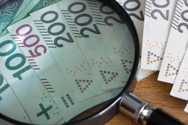 Lehçe para / Zlotisi / yüksek mezhepleri