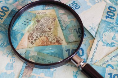 Brezilya para birimi, Büyüteç altında yüksek nominal