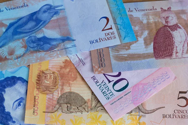 Venezuelian currency / bolivares