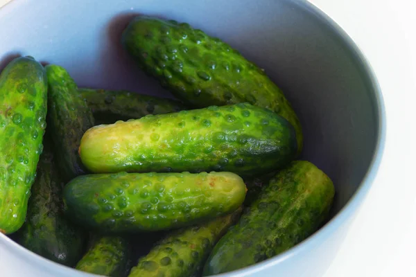 Seasonal little picled cucambers in a bowl on a kitchen table — Stock Photo, Image