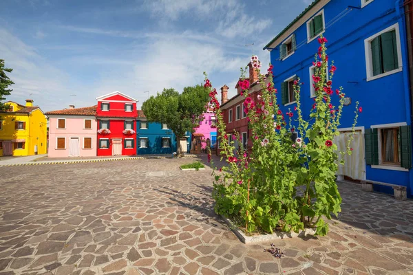 Casas coloridas de la isla de Burano / pequeño pueblo cerca de la Venecia — Foto de Stock