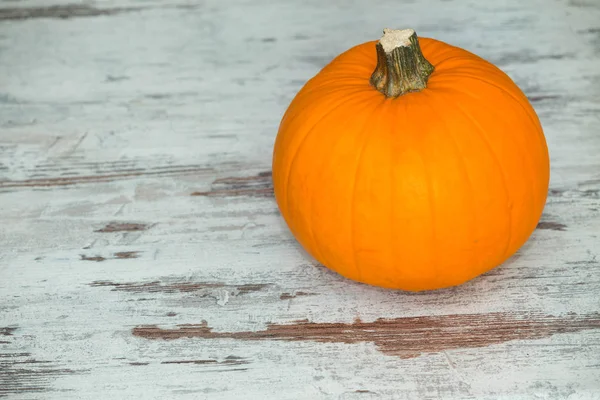 Büyük kabak görünüm