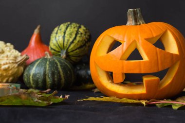 Halloween Jack o fener, arasında sonbahar yaprakları