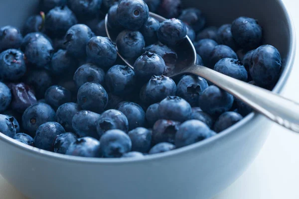 Zobacz Blueberry w misce — Zdjęcie stockowe