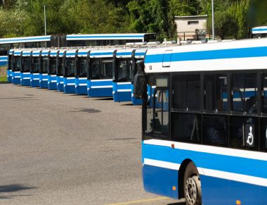 Belediye otobüsleri / kamu taşıma