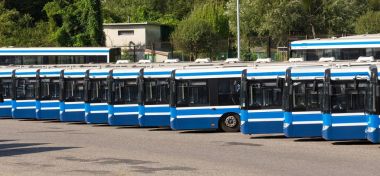 Belediye otobüsleri / kamu taşıma